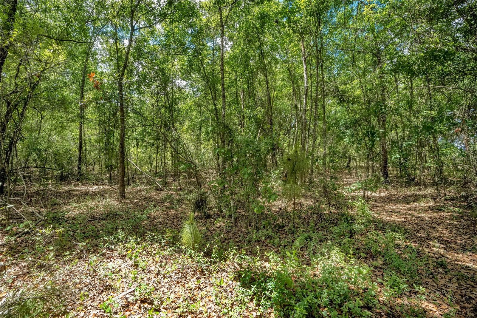 Land at 1903 SPRUCE CREEK CIR, PORT ORANGE, photo 4 of 26