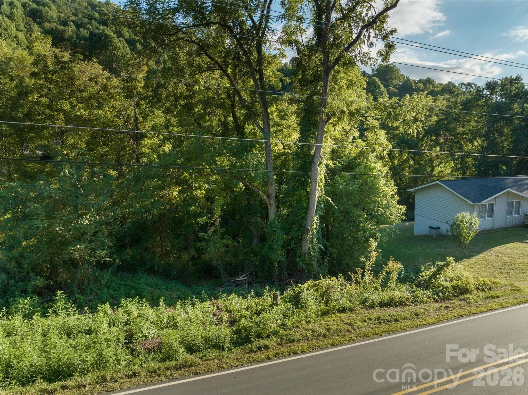 Lot at Waynesville, photo 2 of 10