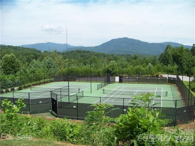 Tennis Court - Lake Lure
