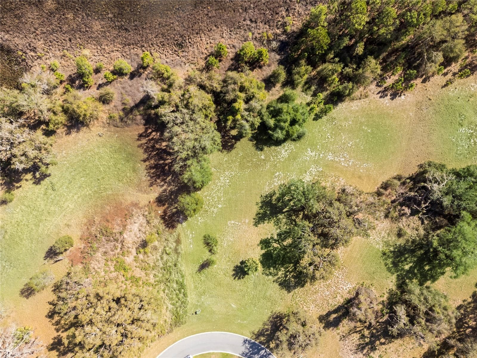Land at 476 LONG AND WINDING RD, HOWEY IN THE HILLS, photo 14 of 19