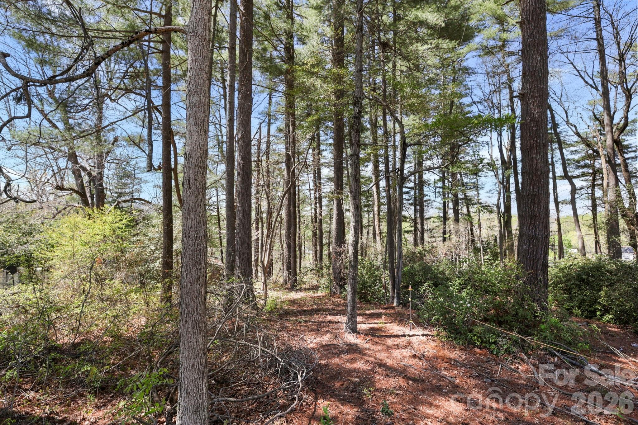 Lot at Hendersonville, photo 2 of 24