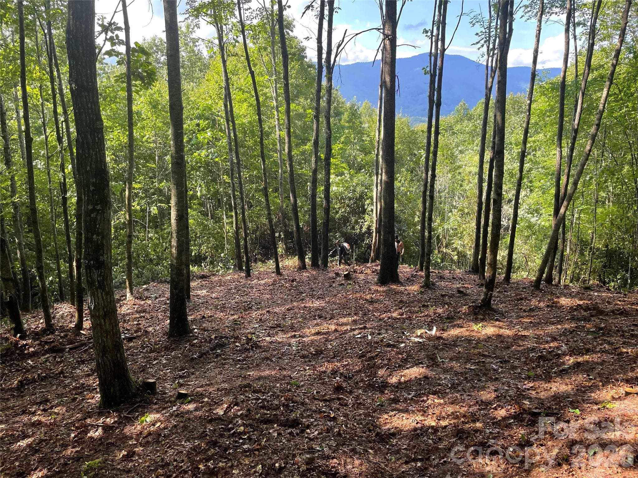 Lot at Sylva, photo 2 of 18