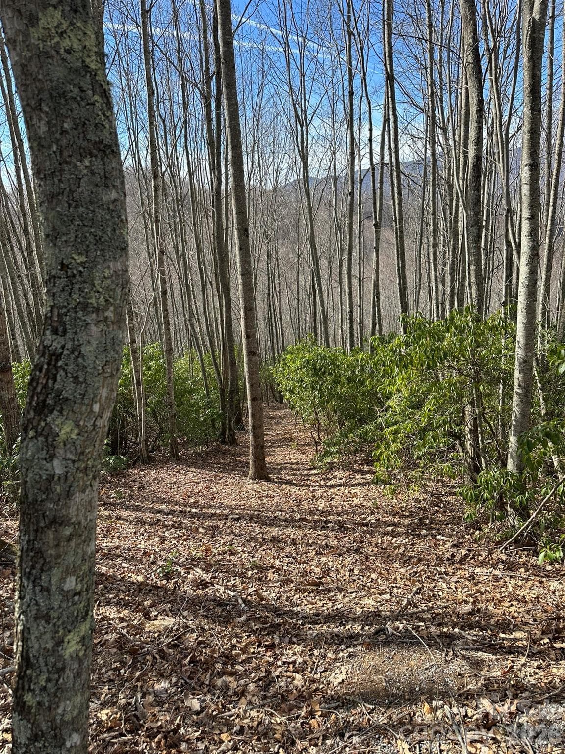 Lot at Sylva, photo 3 of 18