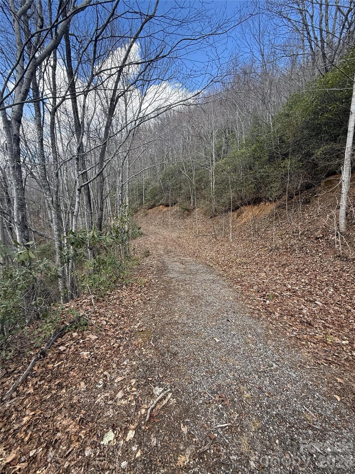 Complete Privacy - Sylva