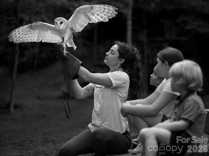 Nature Center with hands on enjoyment - Sylva