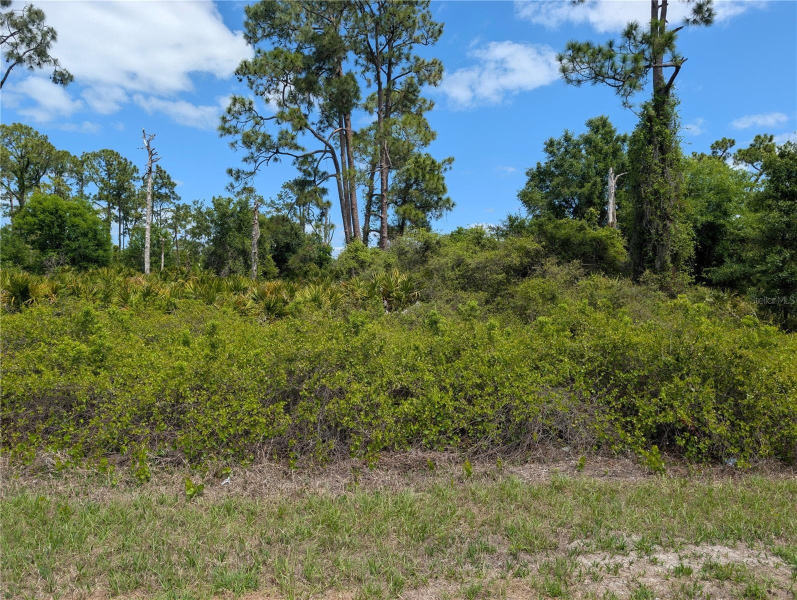 Land at 784 WASHINGTON BLVD NE, LAKE PLACID, photo 2 of 5