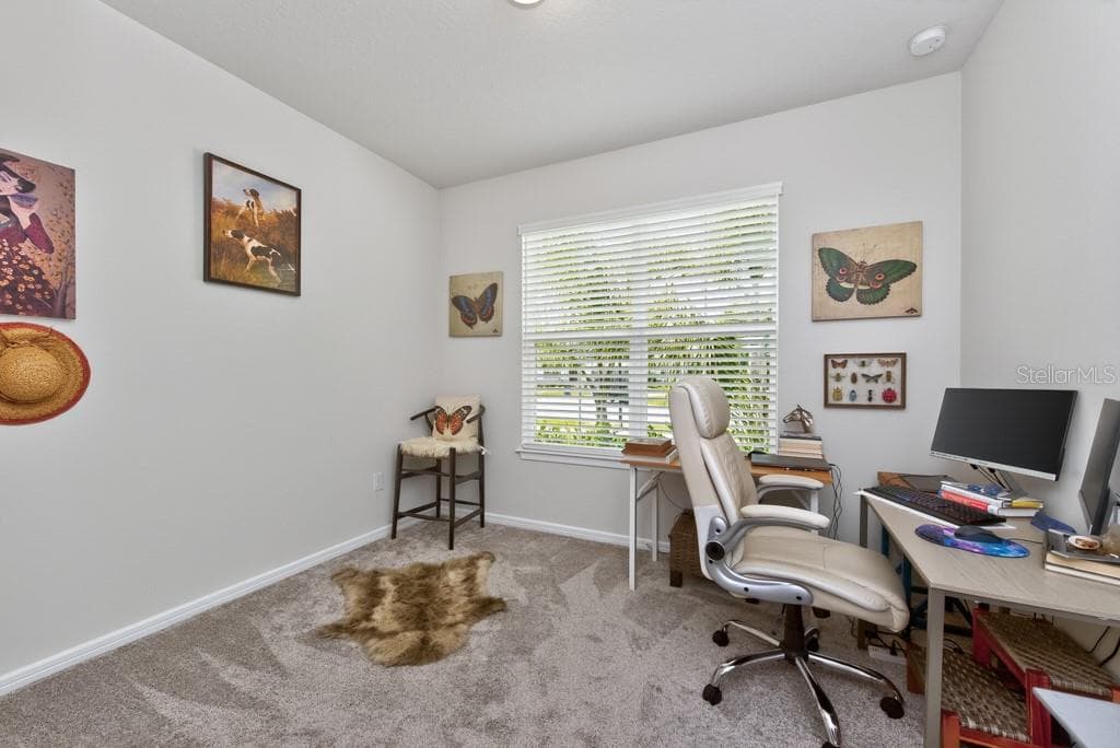Single Family Residence at 12908 BROOKSIDE MOSS DR, RIVERVIEW, photo 17 of 54
