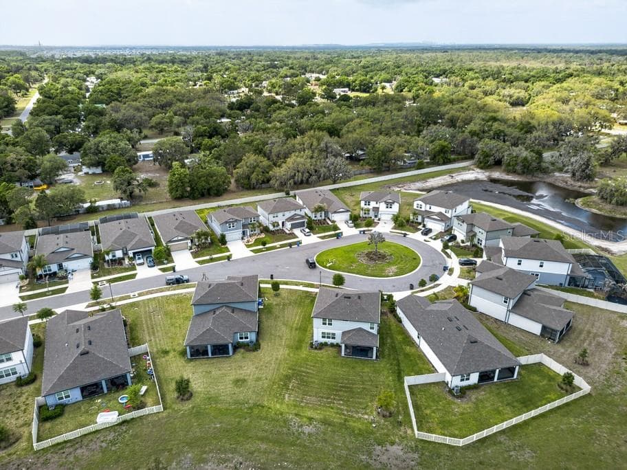 Single Family Residence at 12908 BROOKSIDE MOSS DR, RIVERVIEW, photo 47 of 54