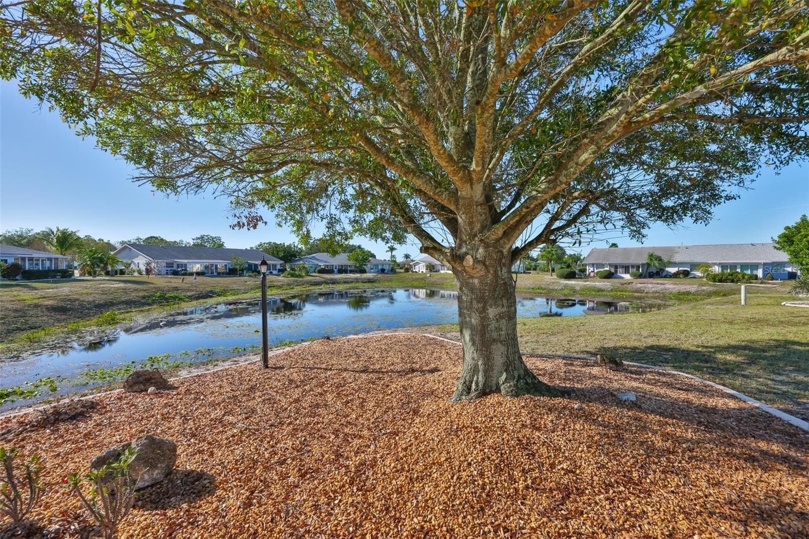Gorgeous shade tree for your private sitting space! - 325 GREEN MANOR DR, SUN CITY CENTER
