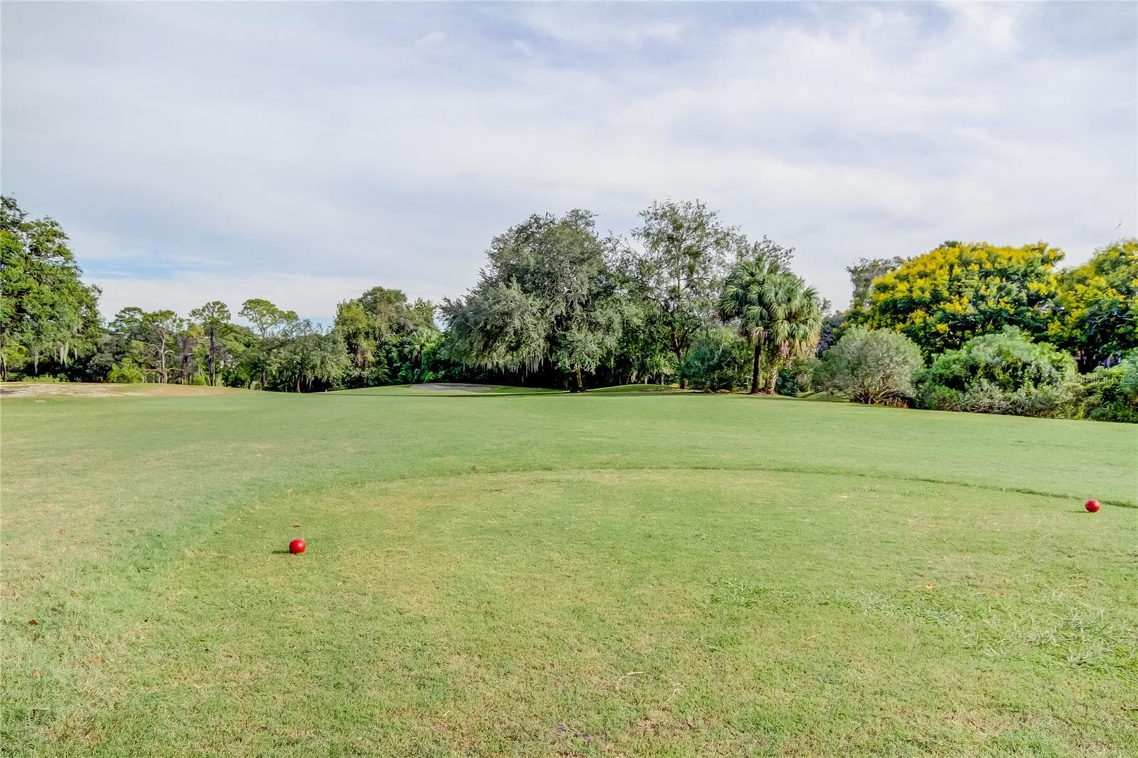 Ardea Country Club - Golf Course - 1795 BAYHILL DR, OLDSMAR