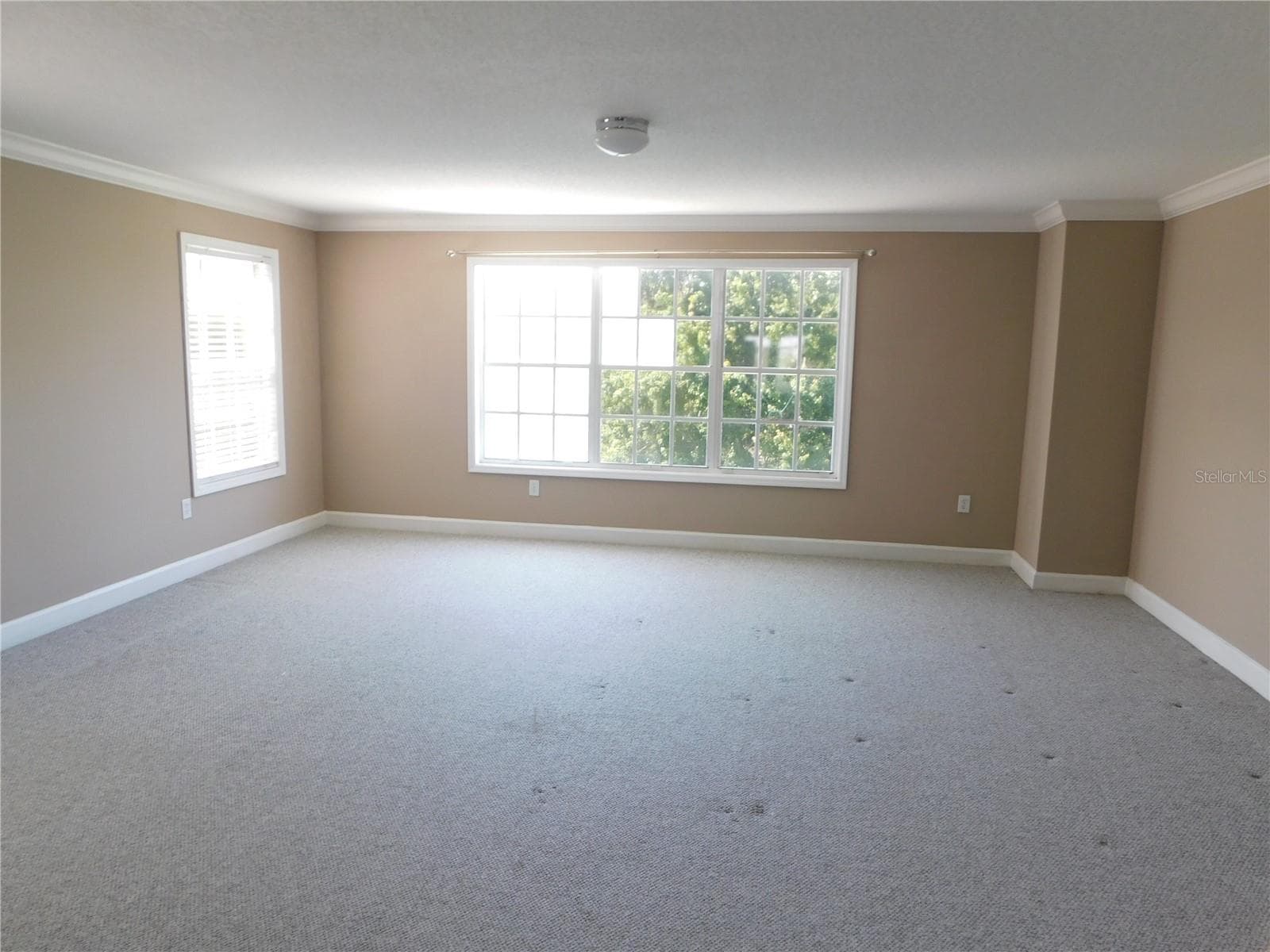 The ENTIRE TOP FLOOR is the Primary Suite! 43' x 18' So much space to enjoy, plus no rear neighbors: view of conservation! - 1720 ARABIAN LN, PALM HARBOR