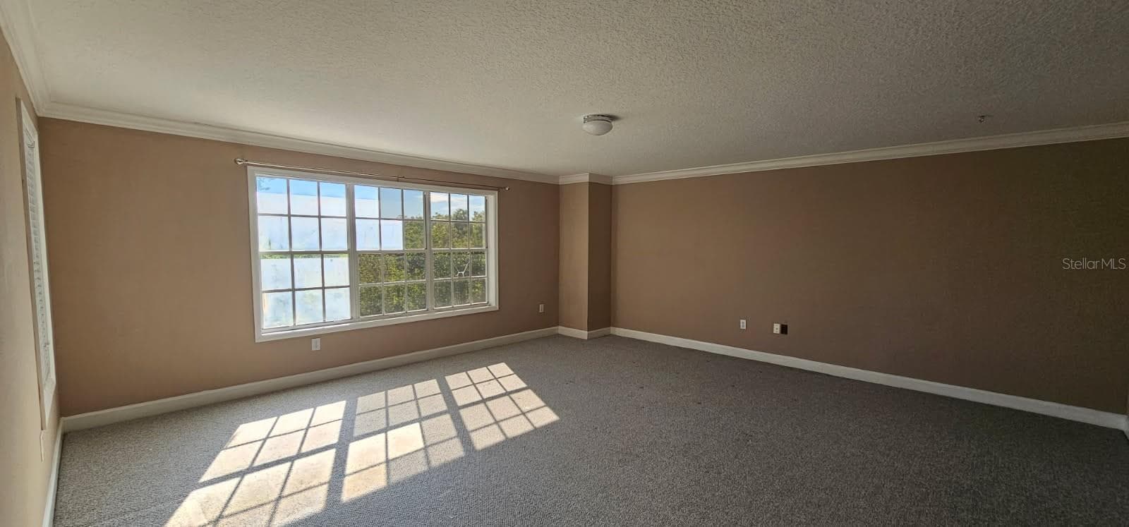 Huge! 43x18 space for Primary suite or Fun space! - 1720 ARABIAN LN, PALM HARBOR