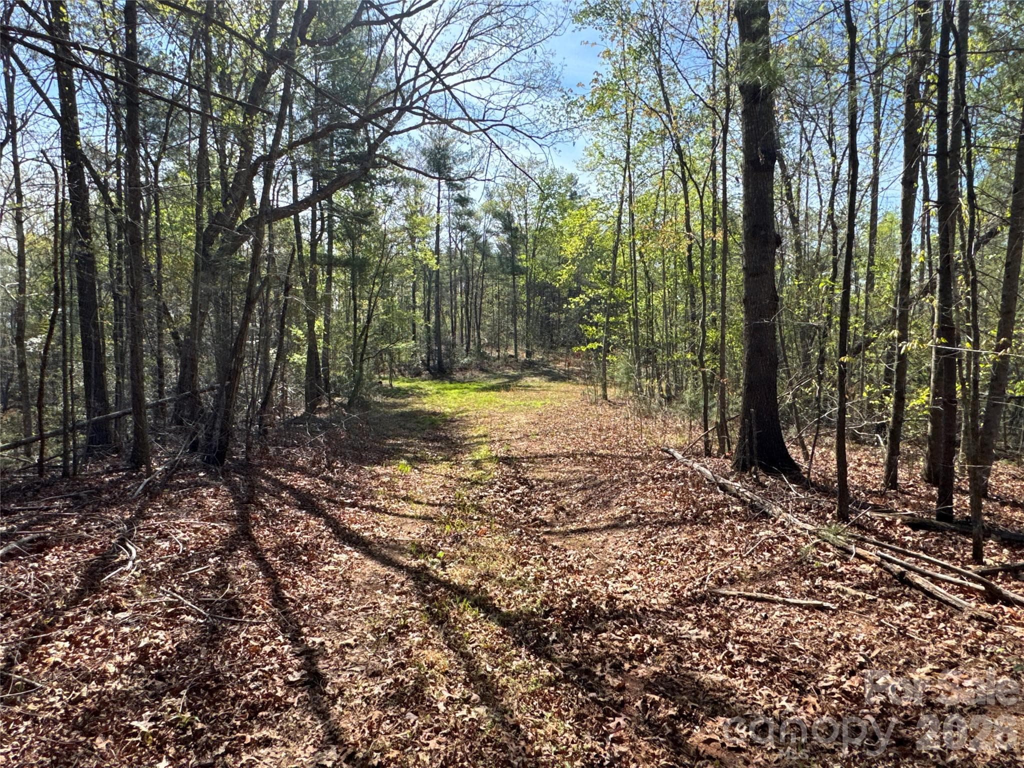 Acreage at Acreage, Morganton, photo 10 of 35