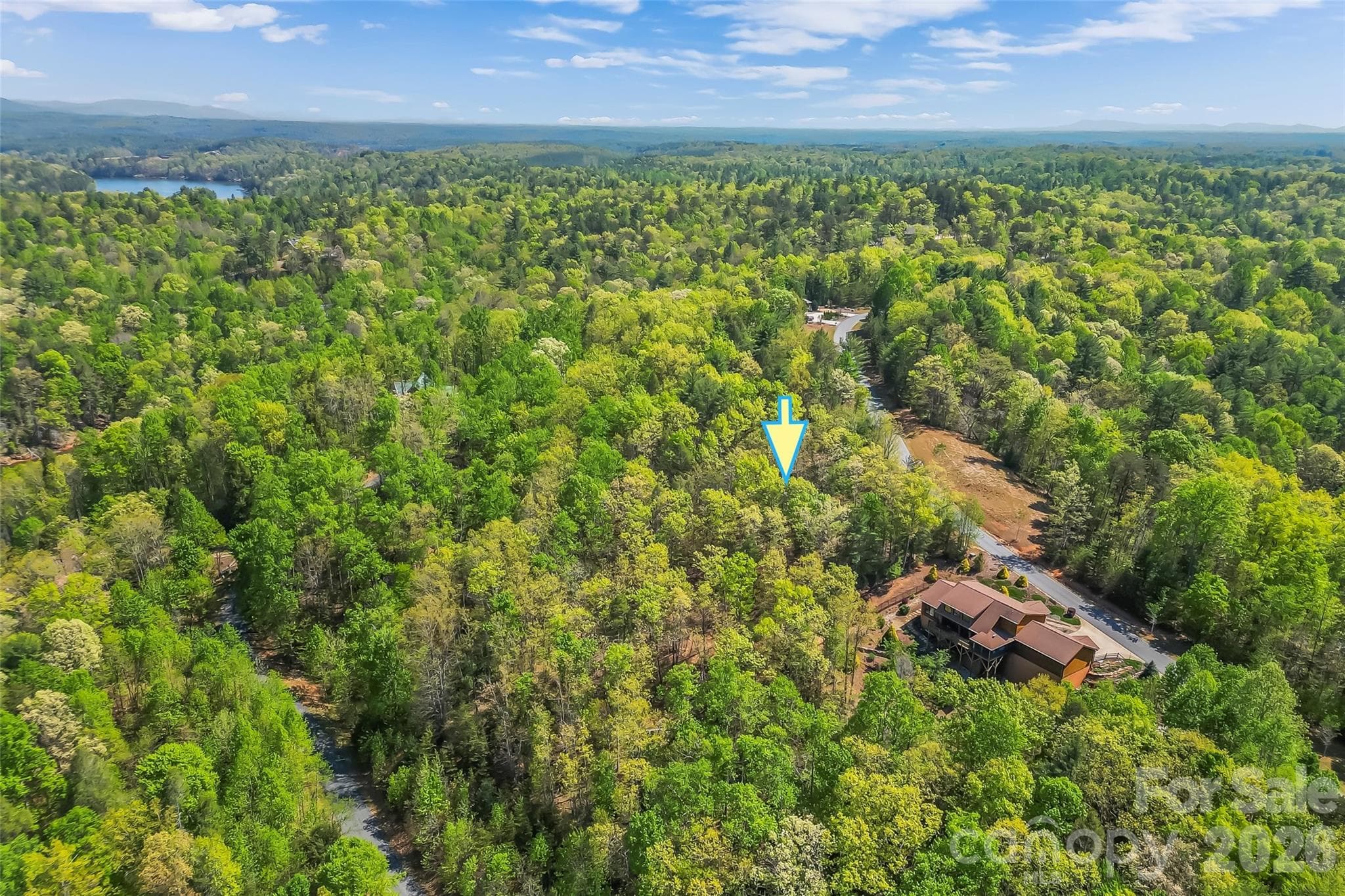 Lot at Nebo, photo 4 of 18