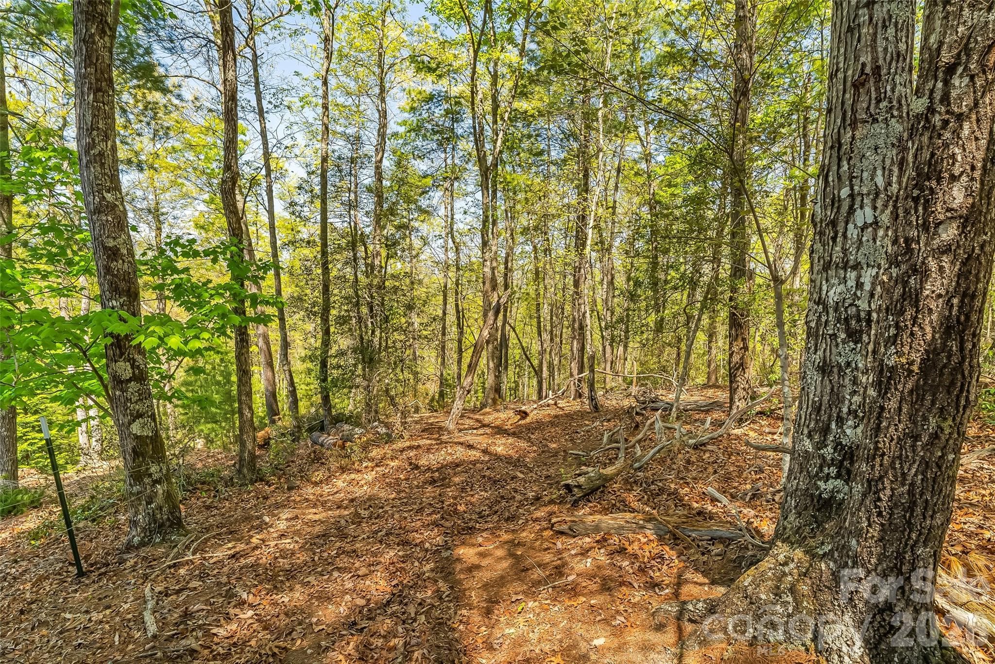 Lot at Nebo, photo 9 of 18