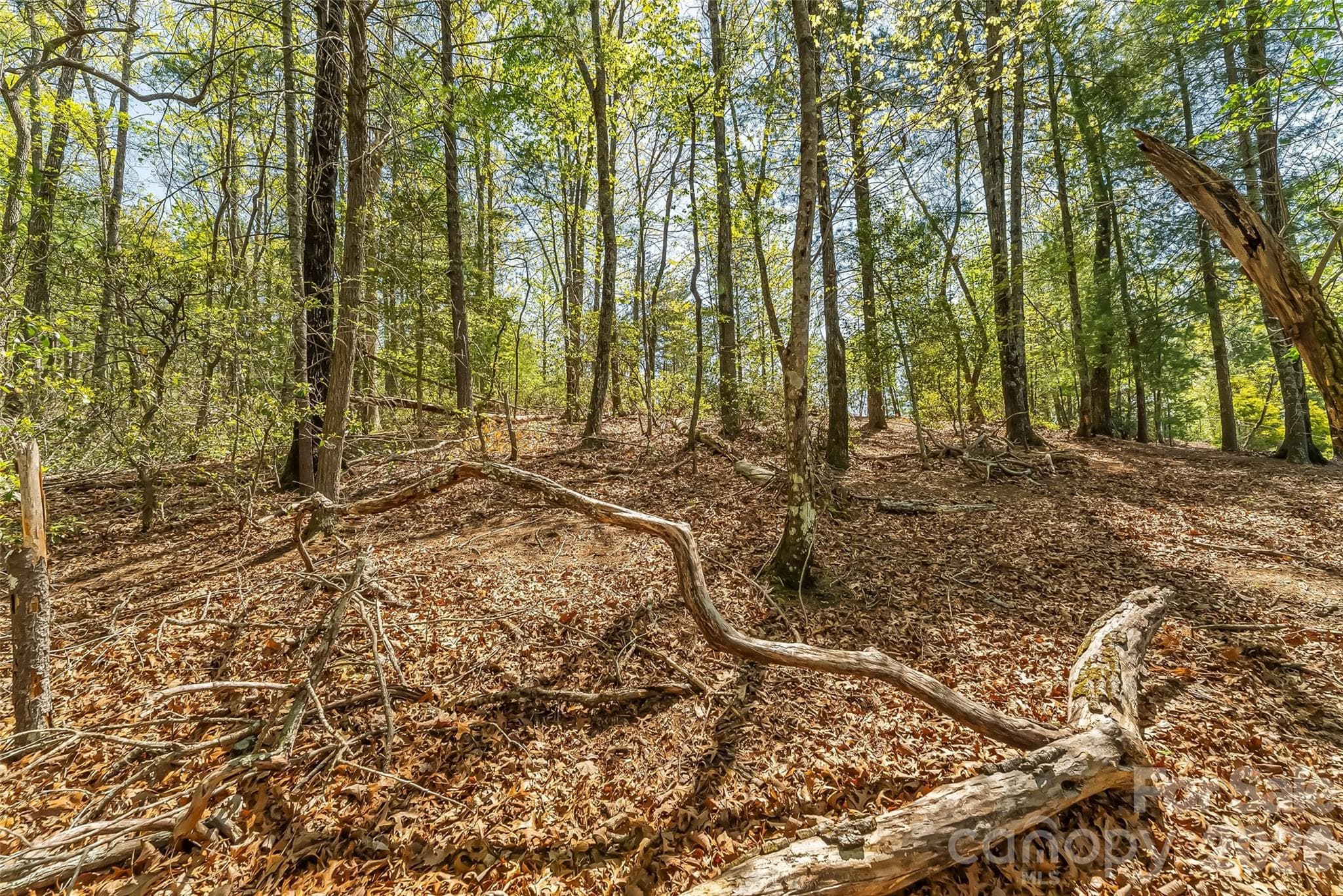 Lot at Nebo, photo 11 of 18