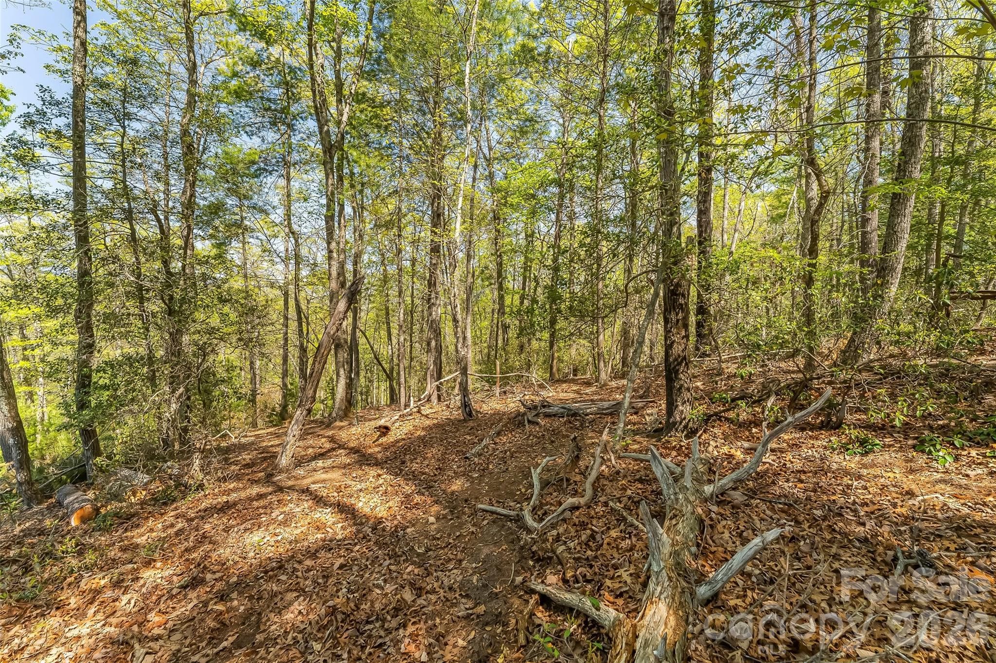 Lot at Nebo, photo 12 of 18