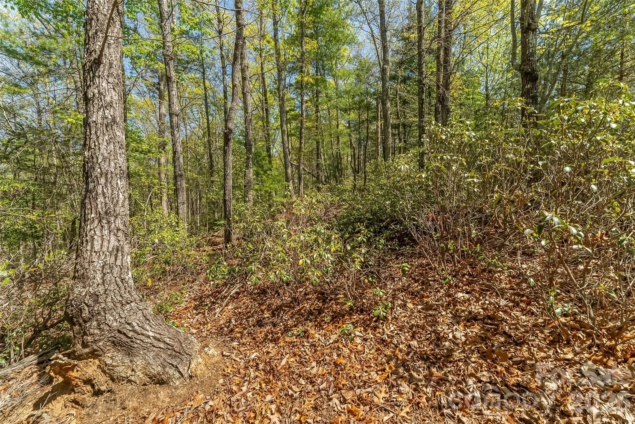 Lot at Nebo, photo 13 of 18