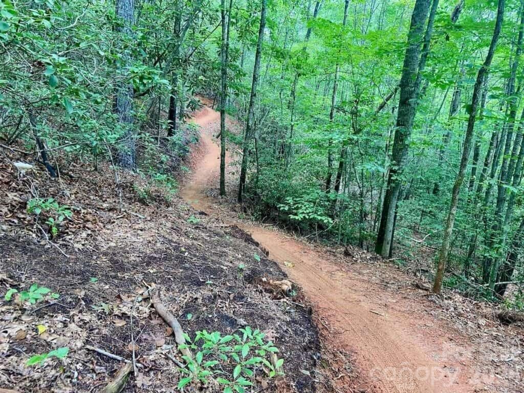 Bernard Mountain Trail - Old Fort