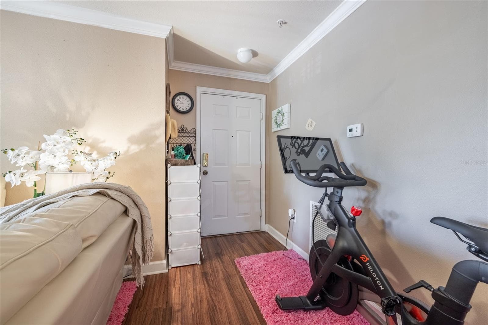Front Door - 18439 BRIDLE CLUB DR, TAMPA