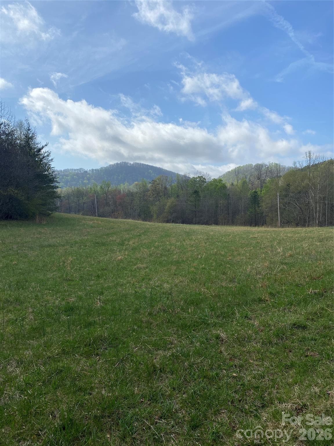 Acreage at 00 Cane Creek Mountain Road, Bostic, photo 3 of 13