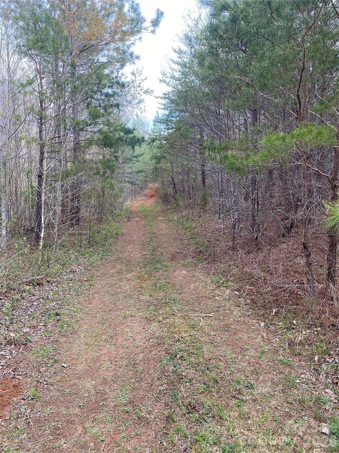 Acreage at 00 Cane Creek Mountain Road, Bostic, photo 4 of 13