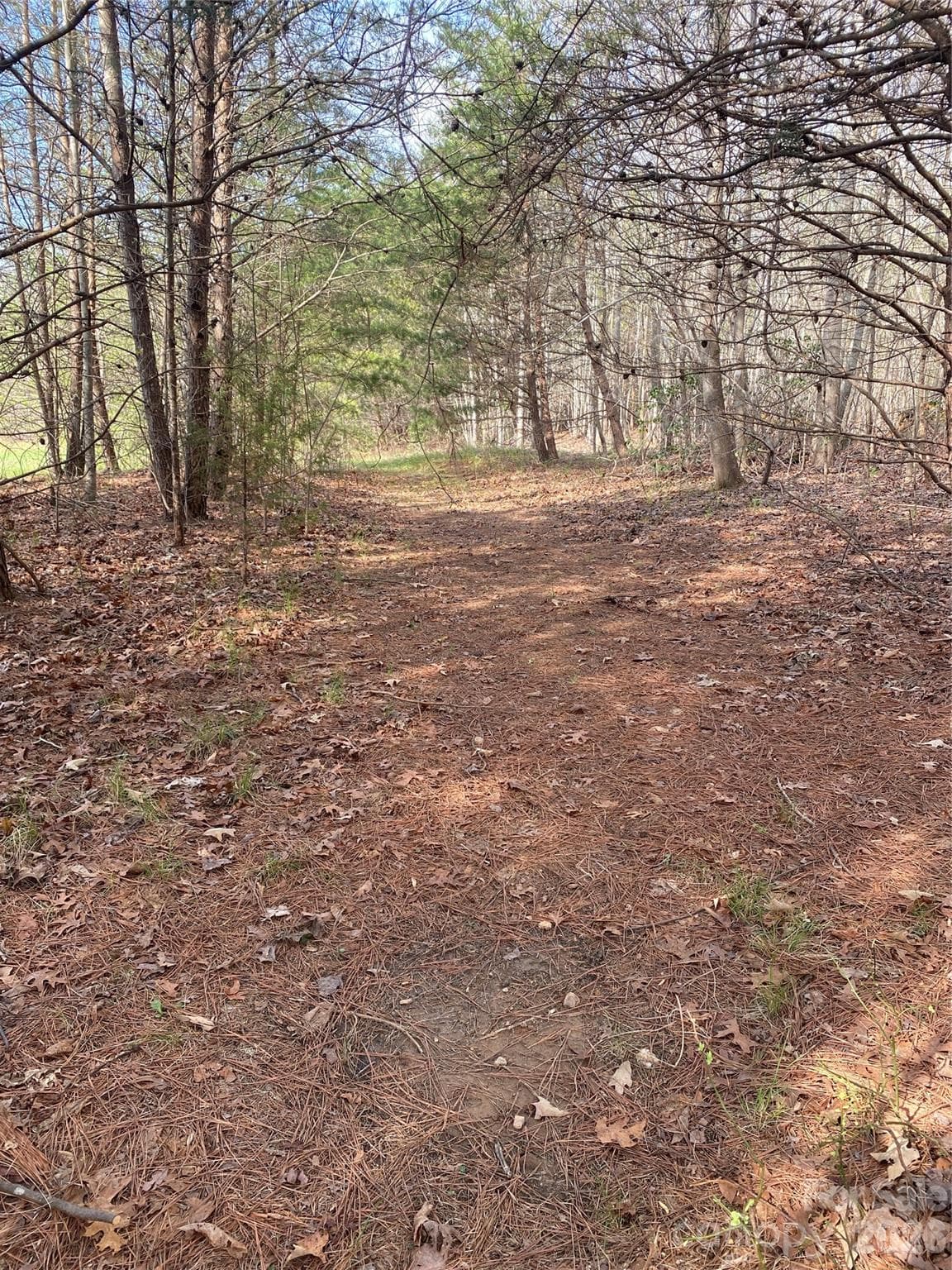 Acreage at 00 Cane Creek Mountain Road, Bostic, photo 6 of 13