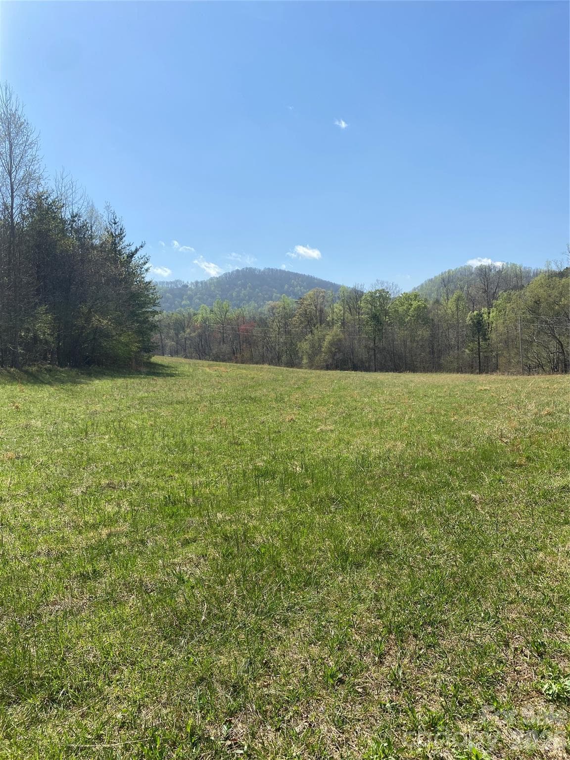 Acreage at 00 Cane Creek Mountain Road, Bostic, photo 10 of 13