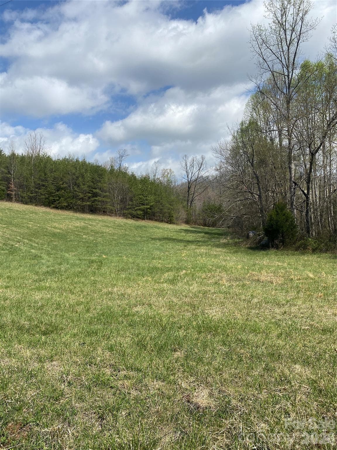 Acreage at 00 Cane Creek Mountain Road, Bostic, photo 12 of 13