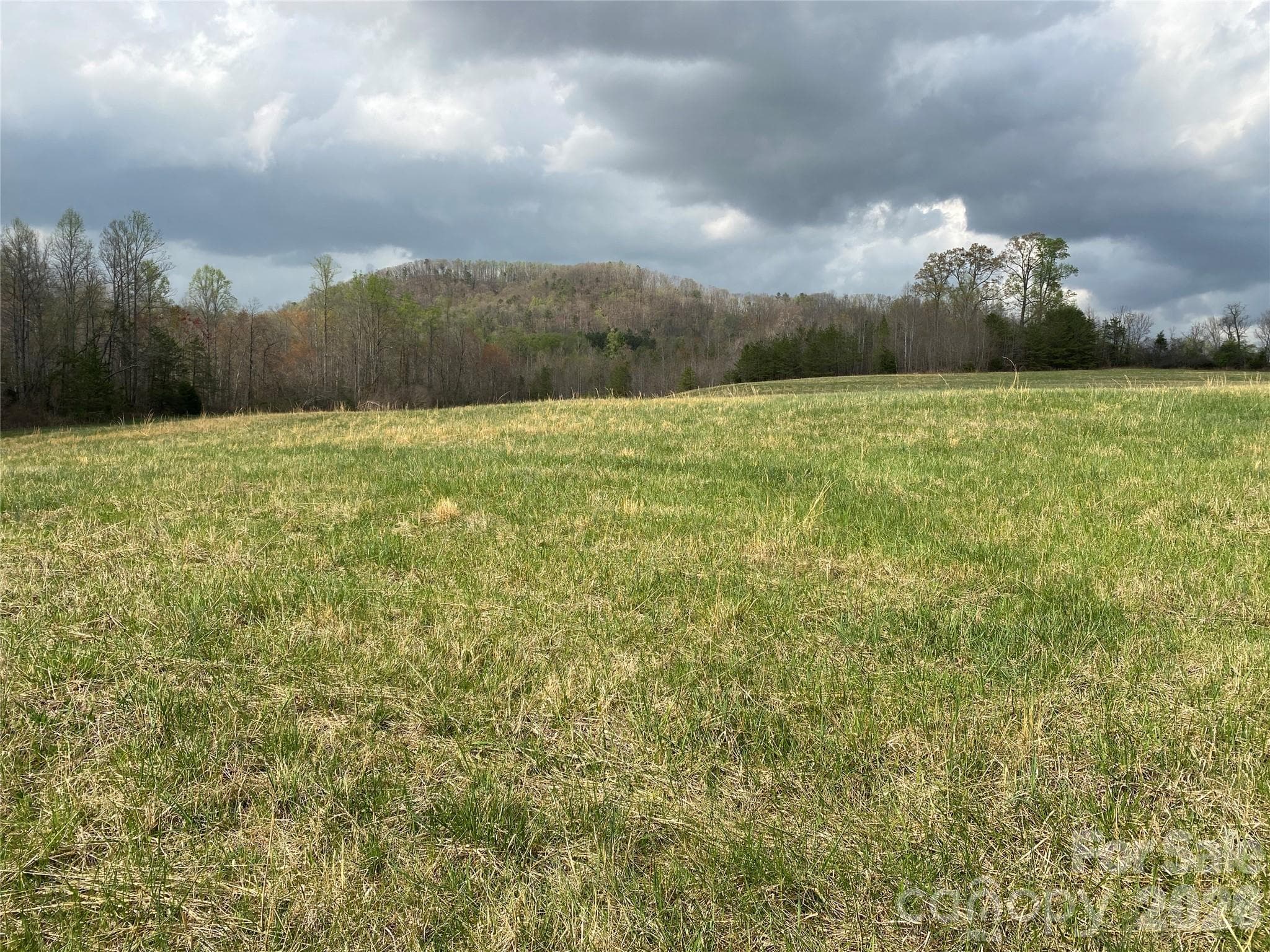 Acreage at 00 Cane Creek Mountain Road, Bostic, photo 5 of 10