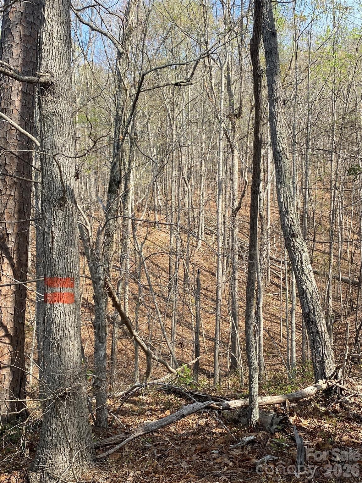 Acreage at 00 Cane Creek Mountain Road, Bostic, photo 7 of 10