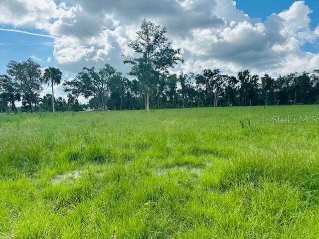Land at 17450 SE HIGHWAY 19, CROSS CITY, photo 3 of 7