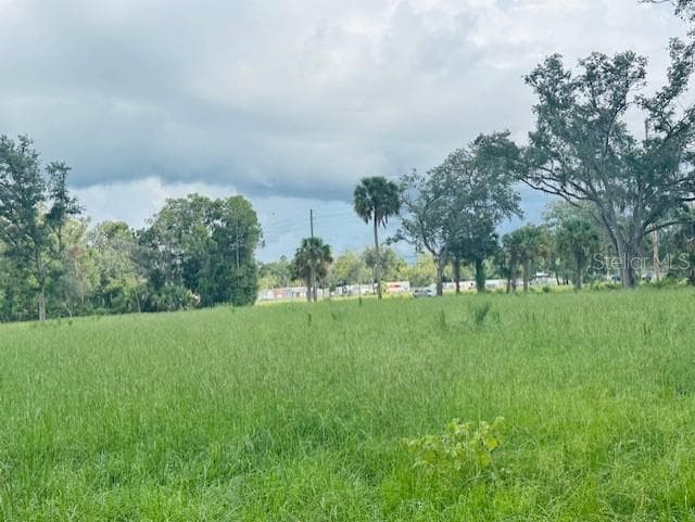 Land at 17450 SE HIGHWAY 19, CROSS CITY, photo 5 of 7
