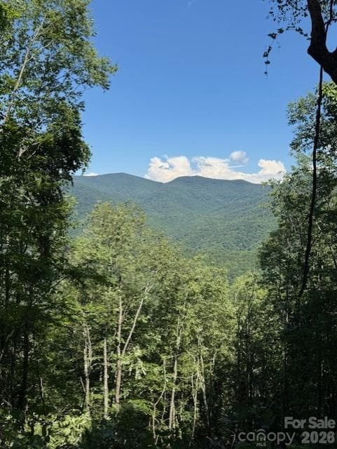 Lot at 5379 Preserve Road, Sylva, photo 2 of 7