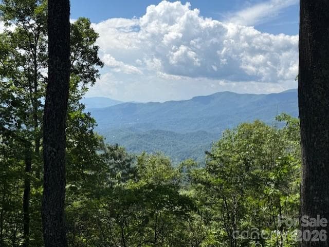 Lot at 5379 Preserve Road, Sylva, photo 3 of 7