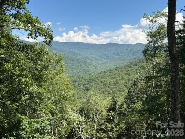 Lot at 5379 Preserve Road, Sylva, photo 5 of 7