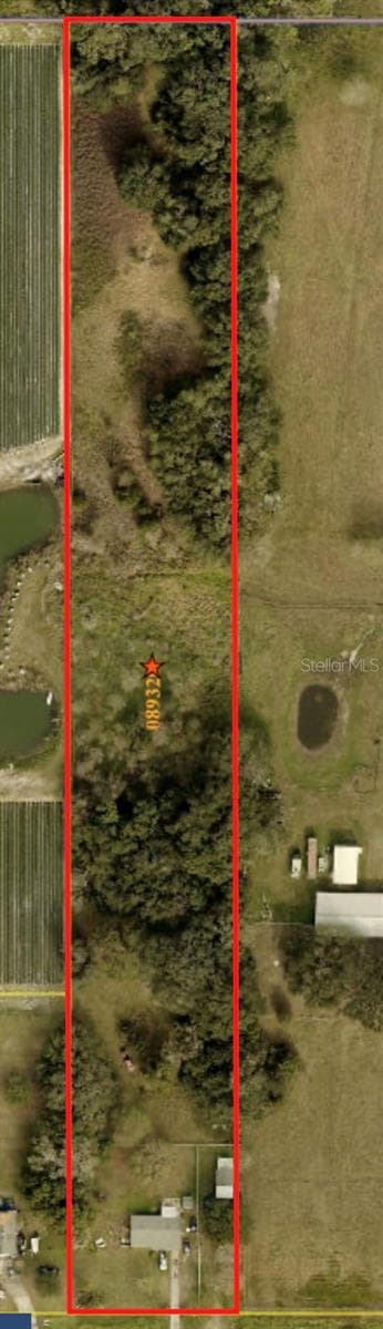 Single Family Residence at 4316 E KNIGHTS GRIFFIN RD, PLANT CITY, photo 5 of 20