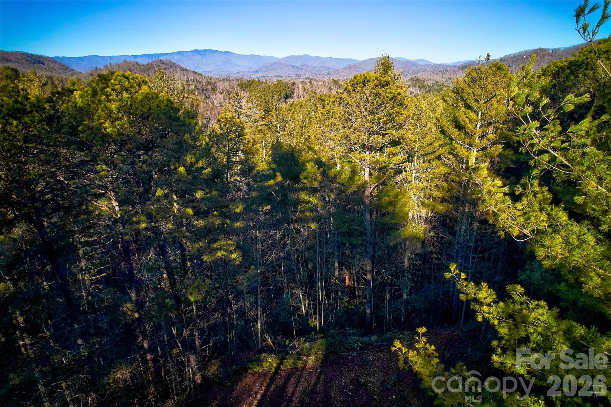 00 Piney Cove Road