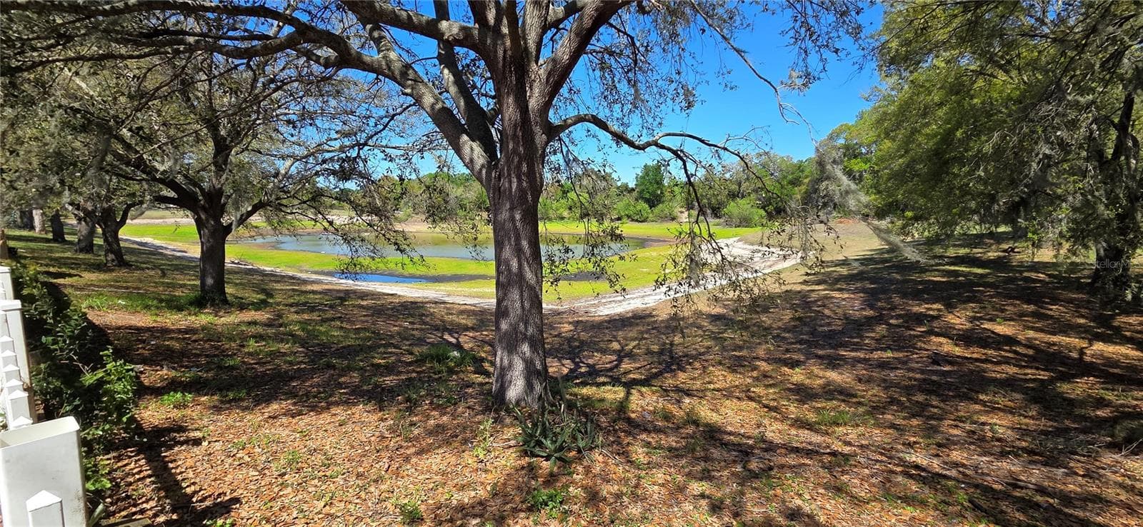 Pond view from backyard - 4716 LITTLE DENISE CT, VALRICO