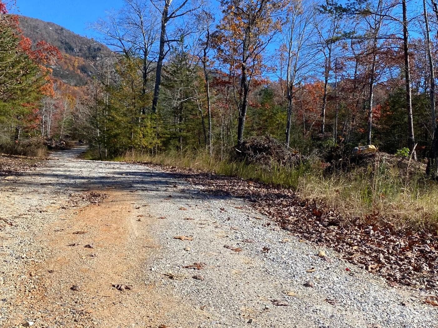 Lot at 34 Montgomery Drive, Marion, photo 5 of 8