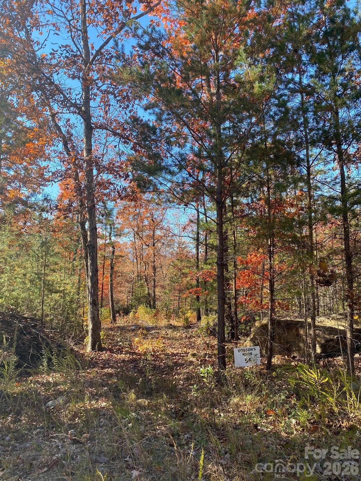 Lot at 34 Montgomery Drive, Marion, photo 8 of 8