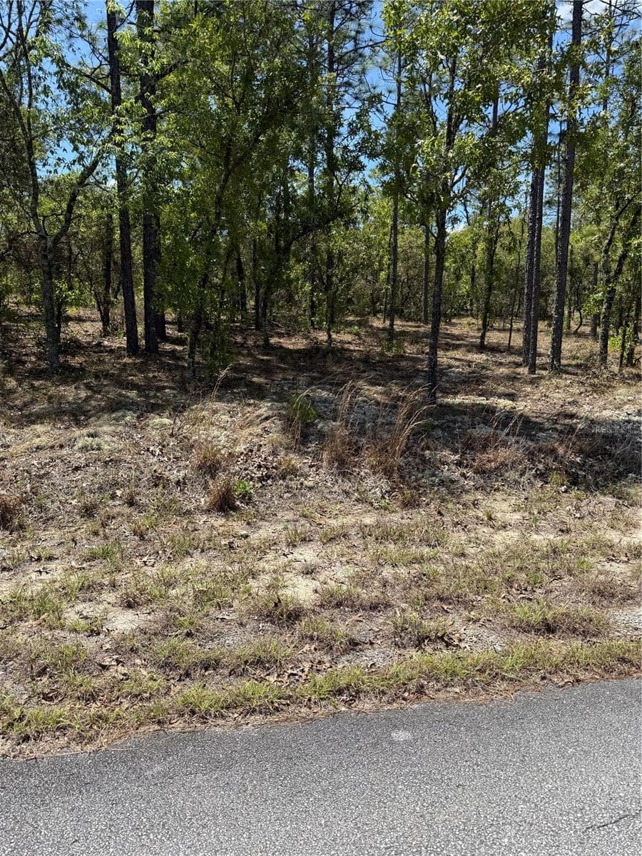 LOT# 8 SW MINEOLA LN