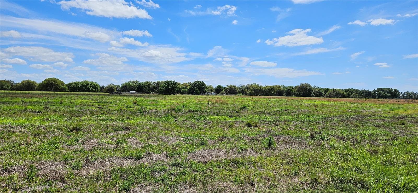 Land at MT ZION CHURF, FROSTPROOF, photo 6 of 8