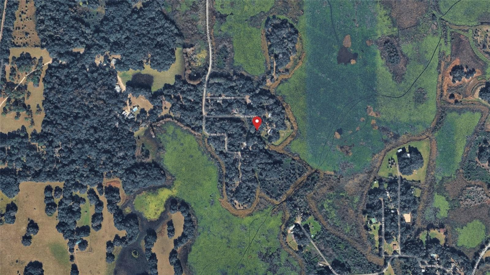 Land at NE 155TH LN, CITRA, photo 8 of 11