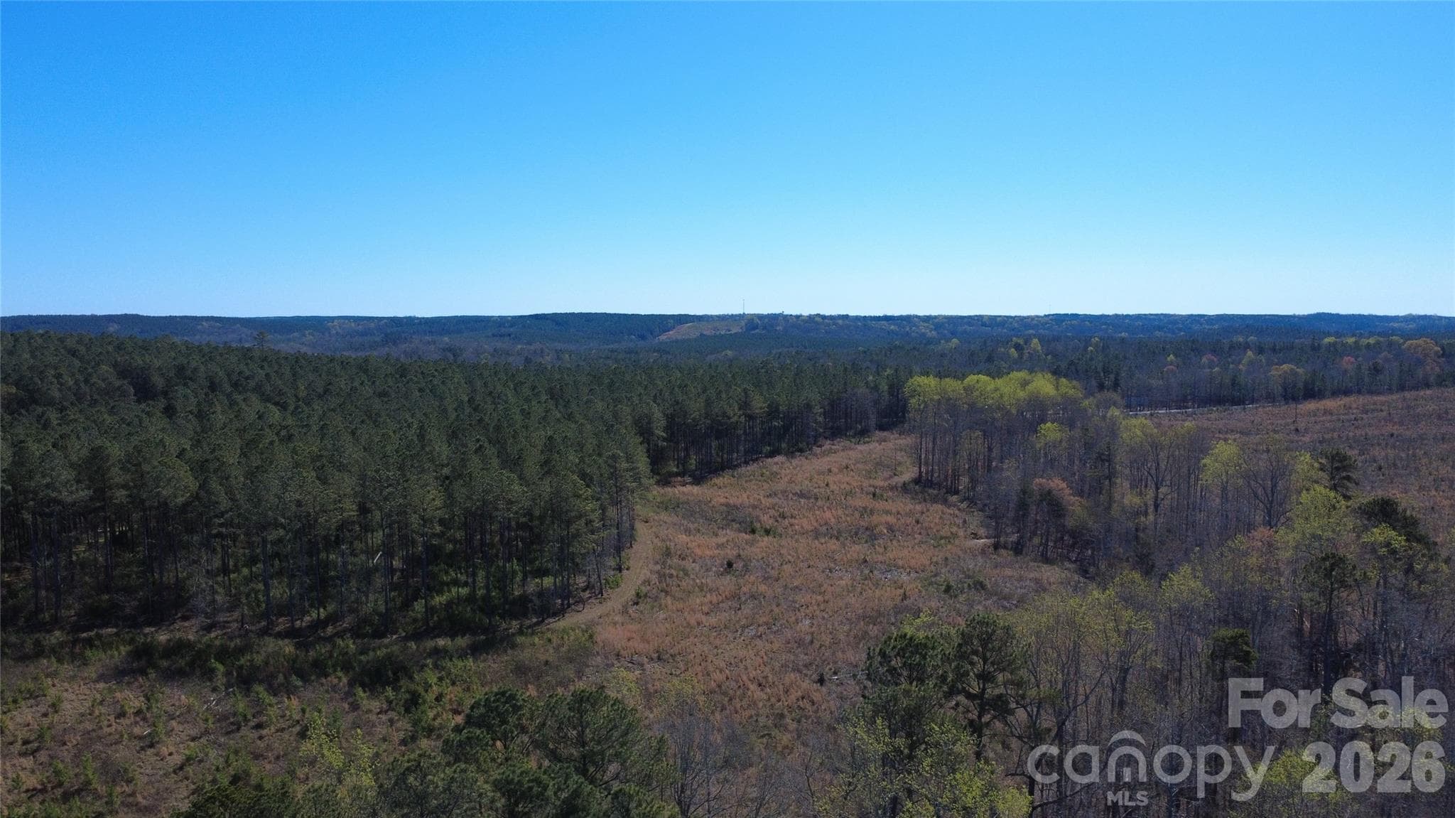 Acreage at Jonesville, photo 22 of 25