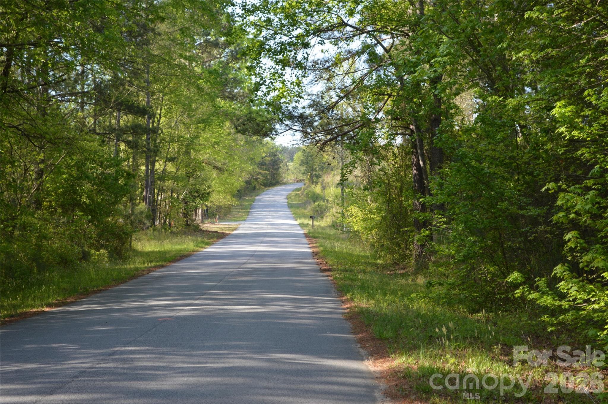 Acreage at Jonesville, photo 5 of 25