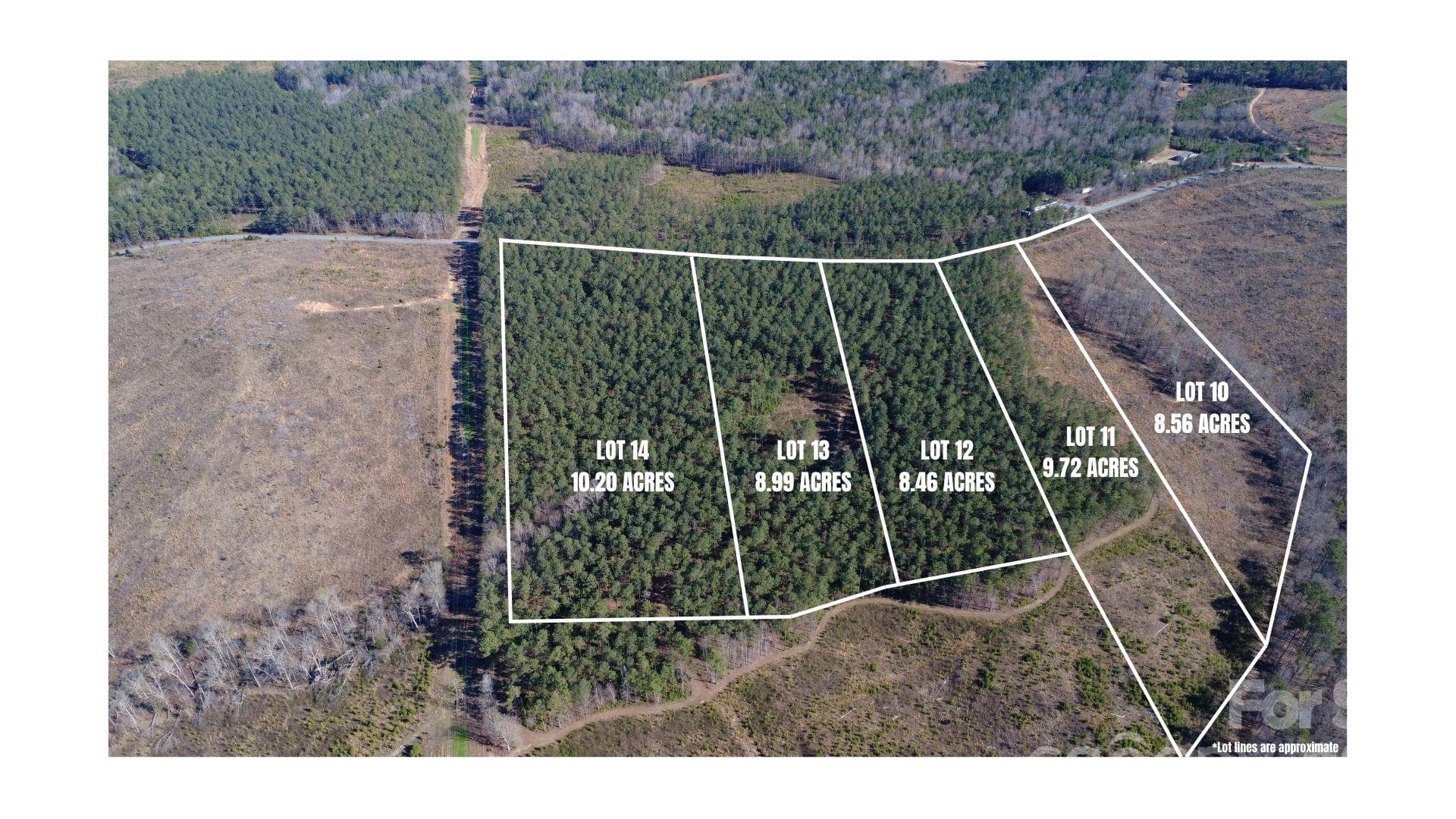 Acreage at Jonesville, photo 2 of 24