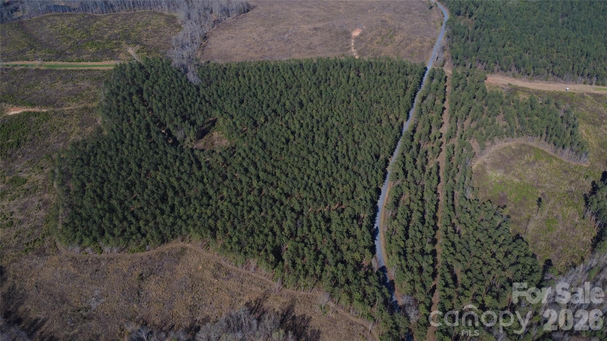 Acreage at Jonesville, photo 4 of 24