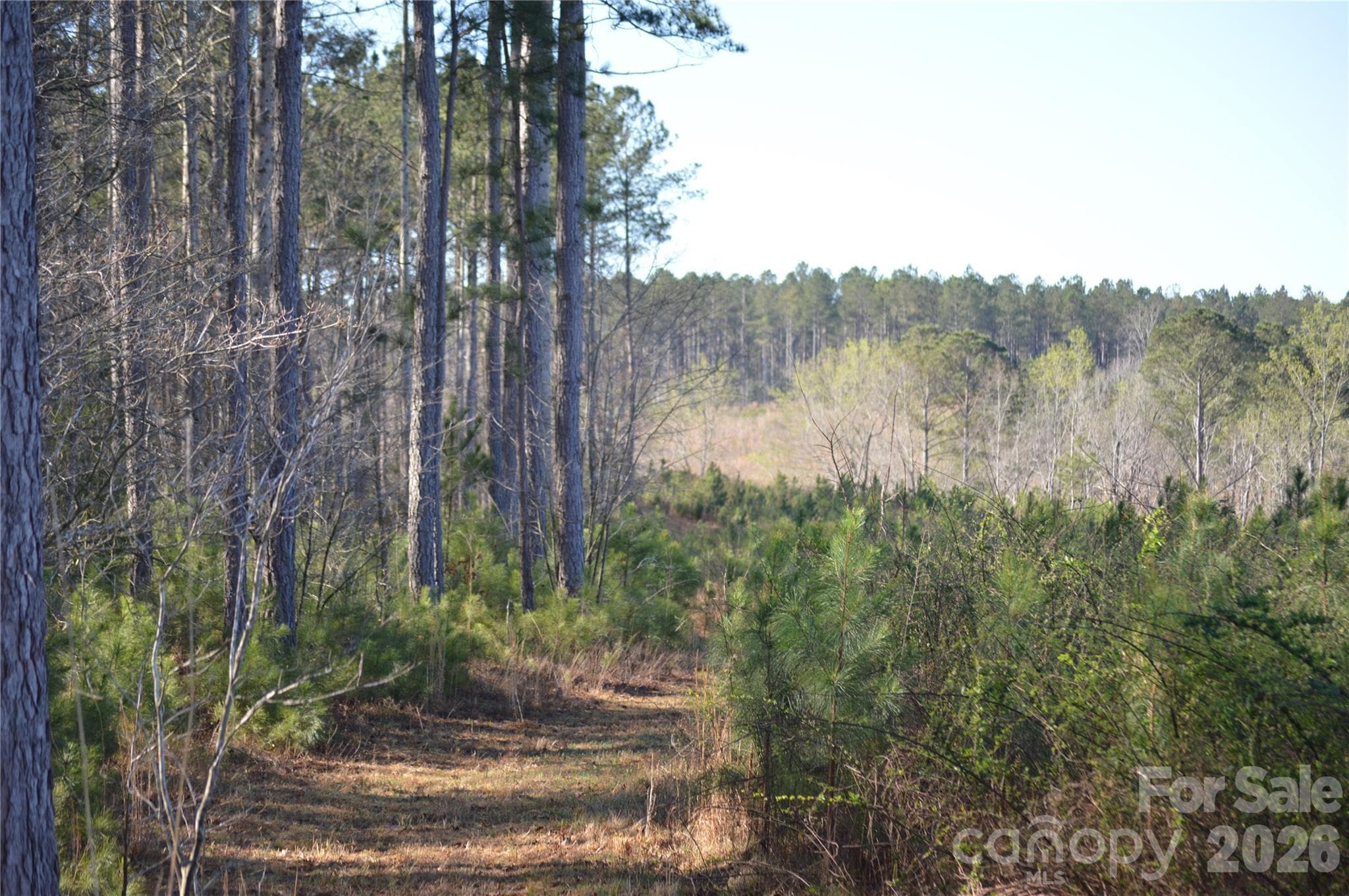 Acreage at Jonesville, photo 11 of 24