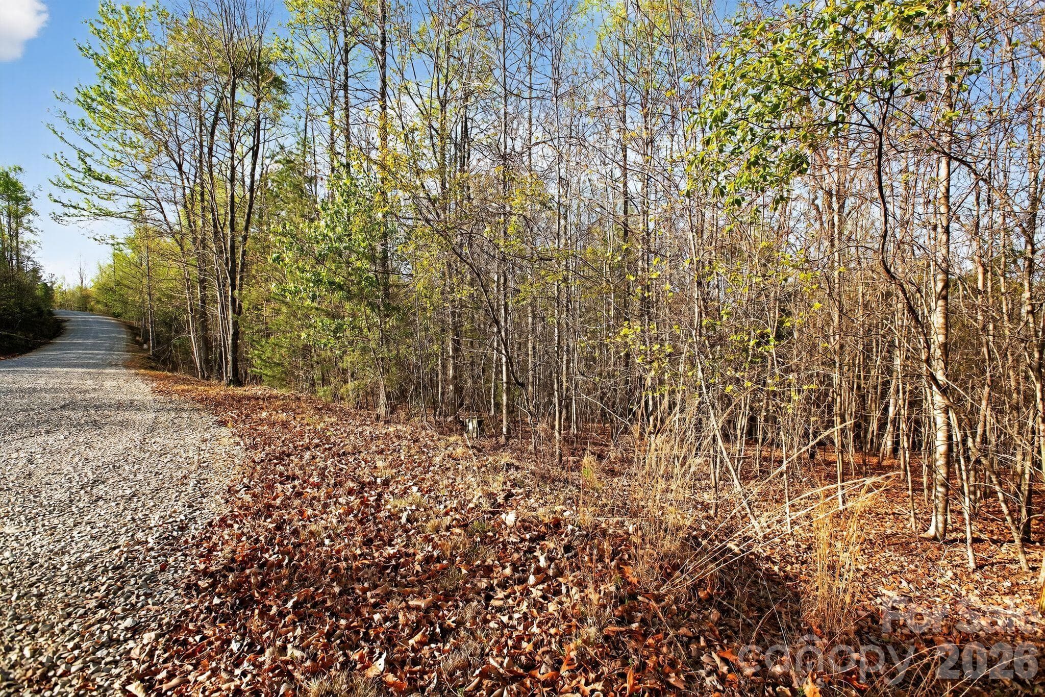 Lot at Nebo, photo 2 of 37